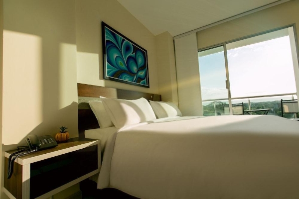 Hotel Mayales Plaza (Valledupar)